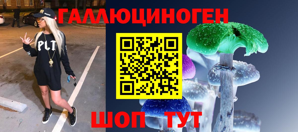 Псилоцибиновые грибы прущие грибы  Вход с VPN  Хасавюрт  Галлюциногенные грибы Cubensis 